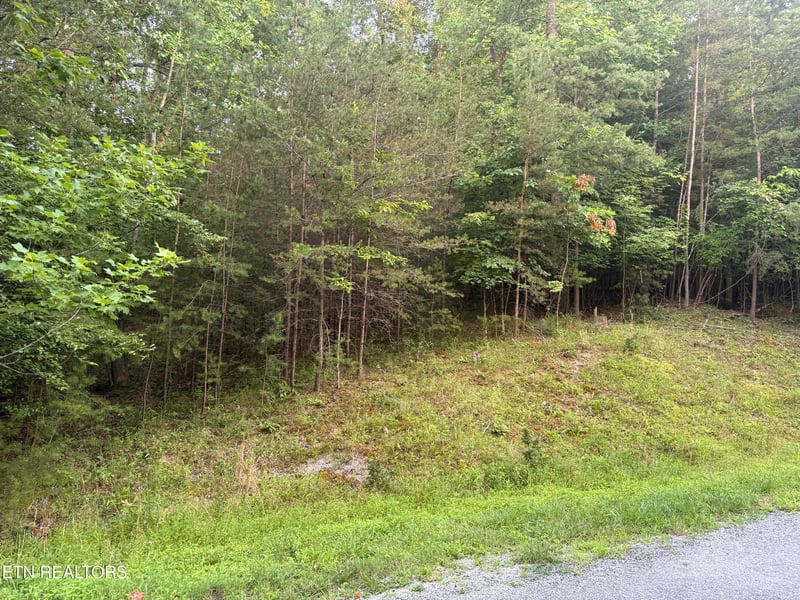 21 Valarian Ter, Crossville, TN 38558