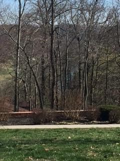 21 Weycliff Pl, Clinton, TN 37716