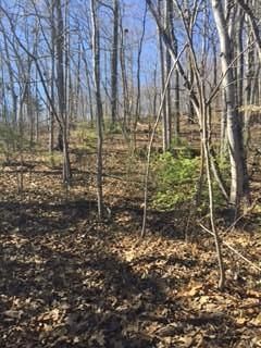 21 Weycliff Pl, Clinton, TN 37716