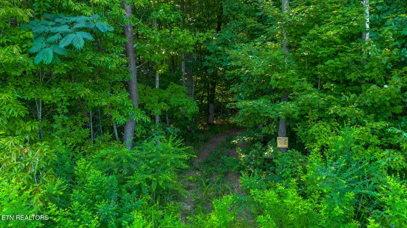 210 Dogtown Rd, Ten Mile, TN 37880