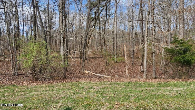 210 E Shore Dr, Rockwood, TN 37854