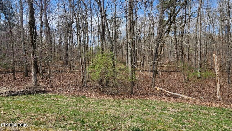 210 E Shore Dr, Rockwood, TN 37854