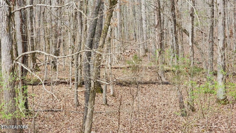210 E Shore Dr, Rockwood, TN 37854