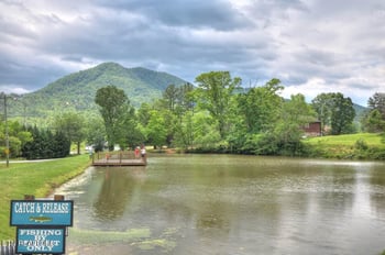 210 Meghans Way, Townsend, TN 37882