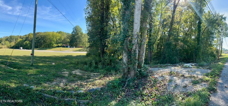 210 Sycamore Ln, Robbins, TN 37852