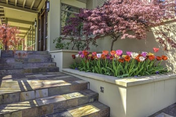 2105 Cherokee Blvd, Knoxville, TN 37919