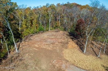 2105 Delta Queen Rd, Louisville, TN 37777