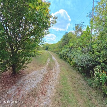 2107 Double Branch Rd, Columbia, TN 38401
