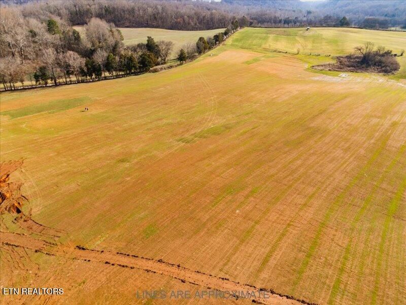 21075 Meadow Rd Lot 3, Greenback, TN 37742