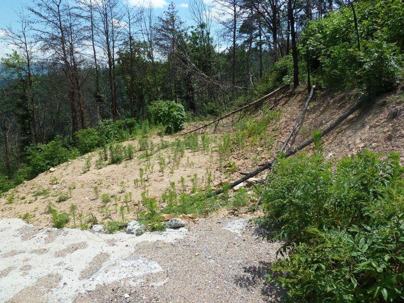 2109 Bluff Mountain Rd, Sevierville, TN 37876
