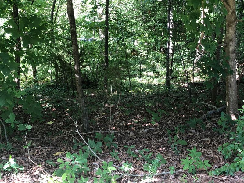 211 Osage Ln, Loudon, TN 37774