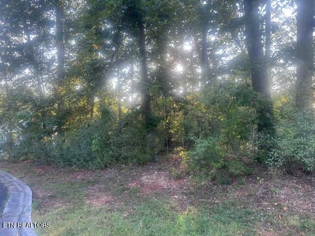 211 Ottawa Pl, Loudon, TN 37774