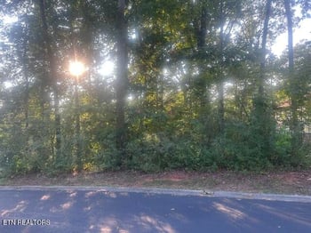 211 Ottawa Pl, Loudon, TN 37774
