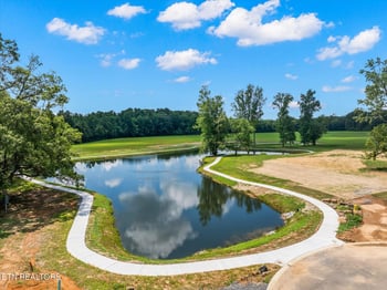211 Village Cove Cir, Englewood, TN 37329