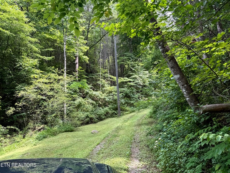 2110 Duck Pond Ln, Sevierville, TN 37876