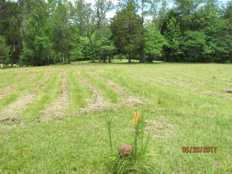 2110 Paint Rock Ferry Rd, Kingston, TN 37763