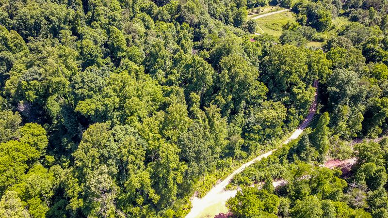 2111 Crumley Rd, Greenback, TN 37742