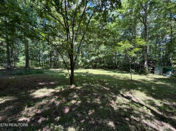 2112 Smith Mountain Rd, Rockwood, TN 37854