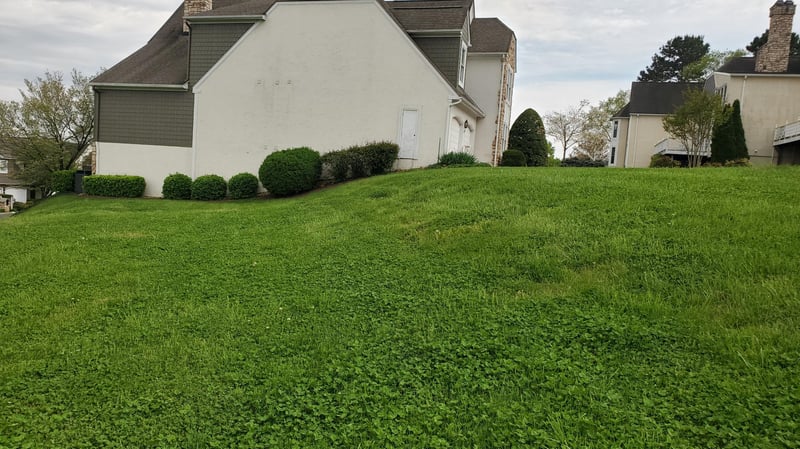 2115 Cottage Row Ln, Knoxville, TN 37922