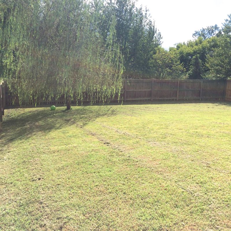 2118 Cartmill Dr, Powell, TN 37849