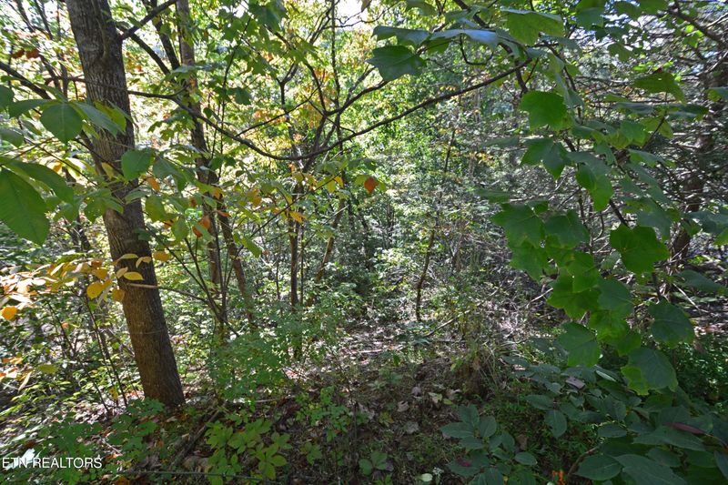 2119 Beach Front Dr, Sevierville, TN 37876