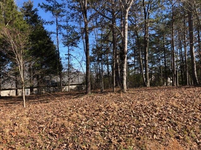 212 Coyatee Dr, Loudon, TN 37774