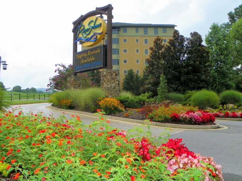 212 Dollywood Ln #454, Pigeon Forge, TN 37863