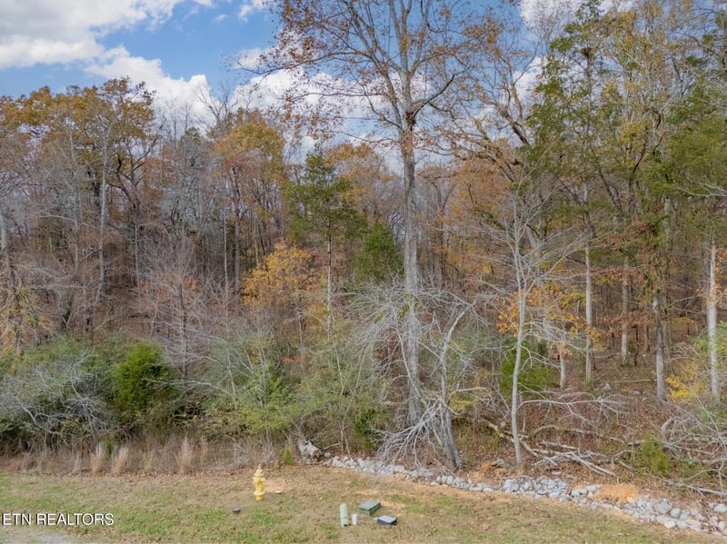 212 E Shore Dr, Rockwood, TN 37854