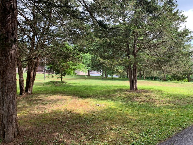 212 Moonbow Dr, Lafollette, TN 37766