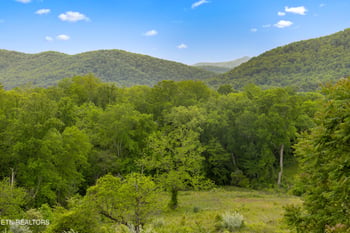 212 Poppy Hill Ln, Lafollette, TN 37766