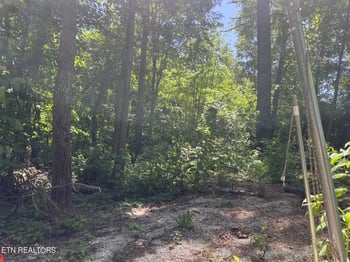 212 Woodland Dr, Wartburg, TN 37887