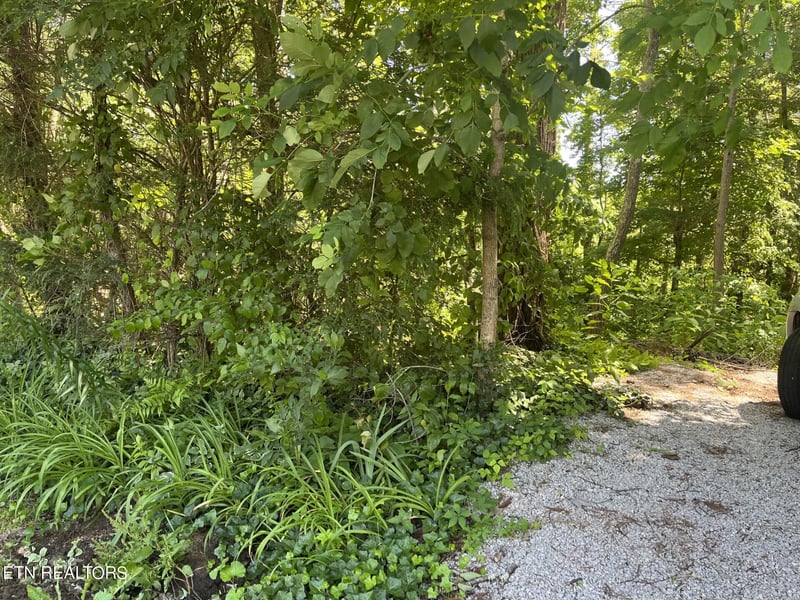 212 Woodland Dr, Wartburg, TN 37887