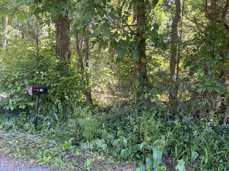 212 Woodland Dr, Wartburg, TN 37887