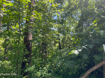 212 Woodland Dr, Wartburg, TN 37887