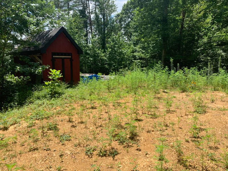 2124 Happy Creek Rd, Seymour, TN 37865