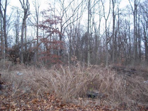 2129 Niles Ferry Rd, Greenback, TN 37742