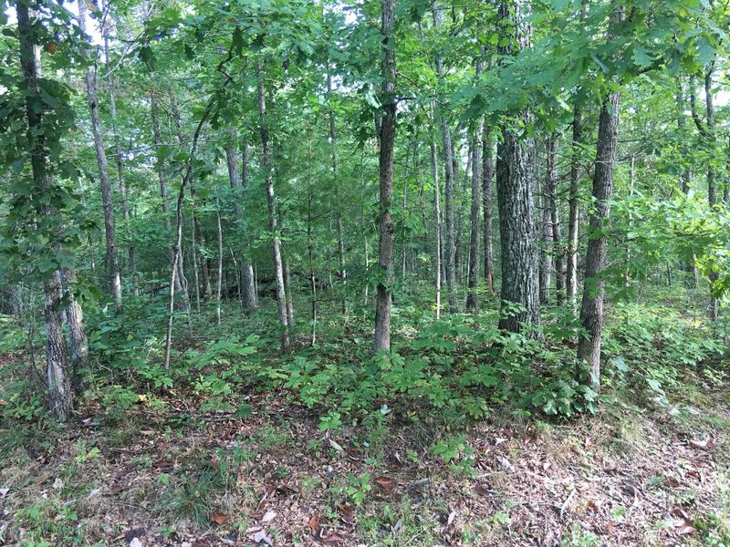 213 Bainbridge Rd, Fairfield Glade, TN 38558