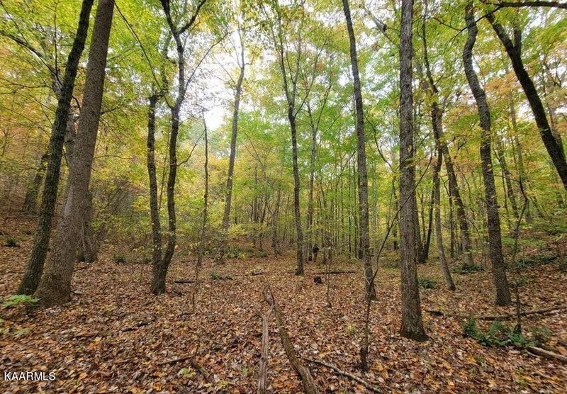 213 Branham Hollow Rd, Ten Mile, TN 37880