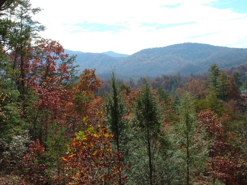 213 Cutter Gap Rd, Townsend, TN 37882