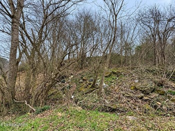 213 Duncan Rd, Briceville, TN 37710
