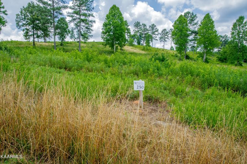 213 Lake Ferry Dr, Loudon, TN 37774