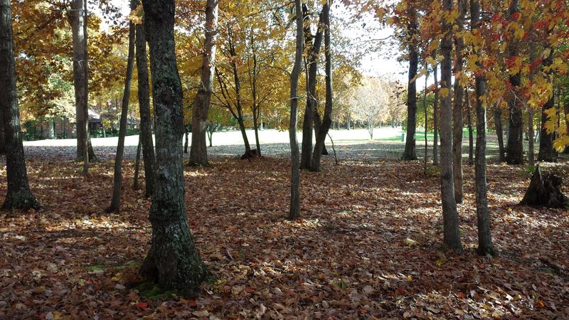 213 Snead Dr, Fairfield Glade, TN 38558