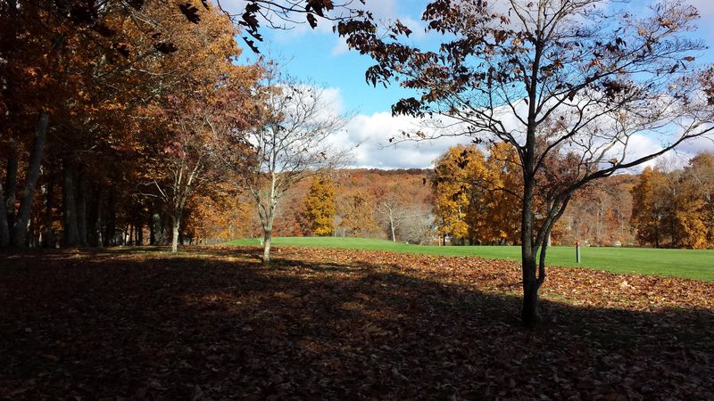 213 Snead Dr, Fairfield Glade, TN 38558