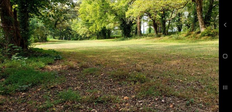 213 Webb Rd, Townsend, TN 37882
