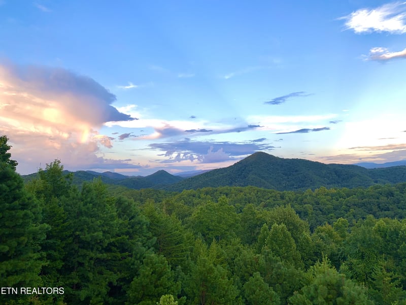 2131 Sky Top Rd, Walland, TN 37886