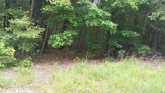 2134 Mt Pleasant Rd, Vonore, TN 37885