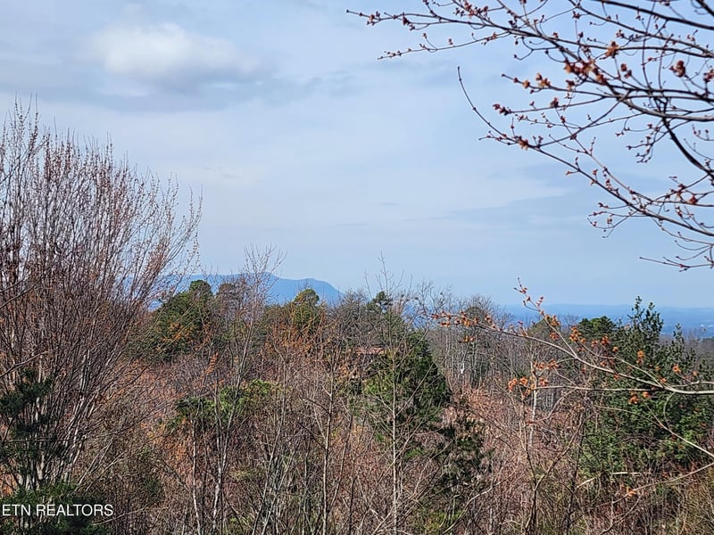 2134 Walnut Ct, Sevierville, TN 37876