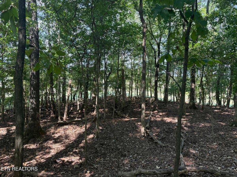 21340 Martel Rd, Lenoir City, TN 37772