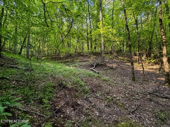 214 County Road 87, Athens, TN 37303
