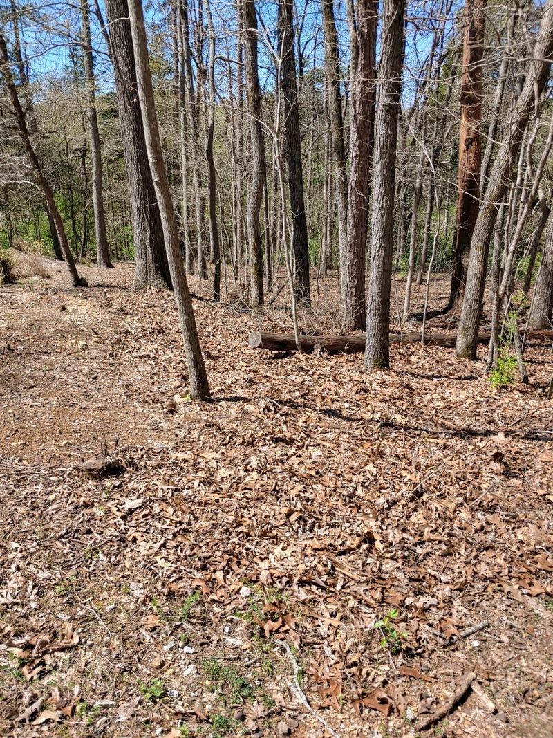 214 Oostanali Way, Loudon, TN 37774